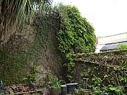 Thumbnail of pic_CW_Leung_009.JPG