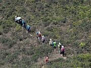 Thumbnail of P3230062.JPG