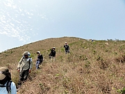 Thumbnail of P3230077.JPG
