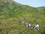 Thumbnail of pic_Eddie_Lui_255.JPG