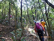 Thumbnail of pic_Thomas_Leung_024.JPG