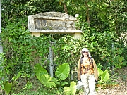 Thumbnail of pic_Thomas_Leung_237.JPG