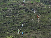 Thumbnail of P3300023.JPG
