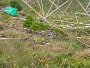 Thumbnail of pic_Thomas_Leung_077.JPG