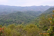 Thumbnail of pic_CC_Li_034.JPG