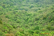Thumbnail of pic_CC_Li_039.JPG