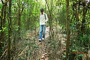 Thumbnail of pic_CC_Li_060.JPG