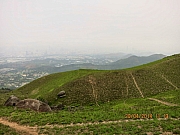 Thumbnail of pic_Eddie_Lui_145.JPG