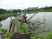 Thumbnail of pic_Thomas_Leung_066.JPG