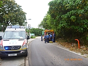 Thumbnail of pic_Wai_178.JPG