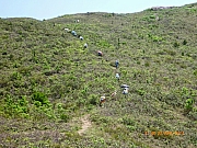 Thumbnail of pic_Wai_075.JPG