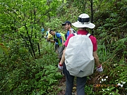 Thumbnail of pic_Thomas_Leung_092.JPG