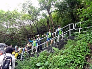 Thumbnail of P5180003.JPG