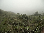 Thumbnail of pic_KC_Leung_090.JPG