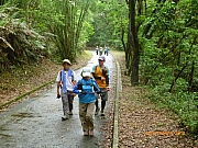 Thumbnail of pic_wai_042.JPG