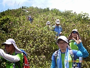Thumbnail of pic_Wai_071.JPG