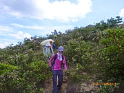 Thumbnail of pic_Wai_051.JPG