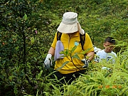 Thumbnail of pic_Sam_Ho_012.JPG