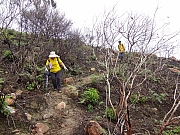 Thumbnail of pic_Wai_037.JPG