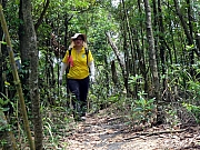 Thumbnail of P6290014.JPG