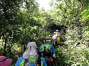 Thumbnail of P7060004.JPG