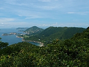 Thumbnail of pic_Amy_Fong_056.JPG