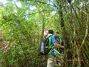 Thumbnail of pic_Wai_069.JPG