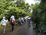 Thumbnail of pic_KC_Leung_005.JPG