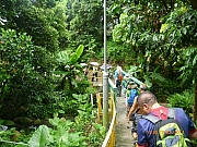Thumbnail of pic_Wai_160.JPG