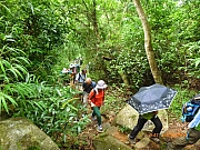 Thumbnail of pic_Wai_023.JPG