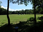Thumbnail of pic_Thomas_Leung_057.jpg