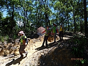 Thumbnail of pic_Thomas_Leung_155.jpg