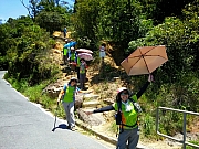 Thumbnail of pic_Wai_029.jpg