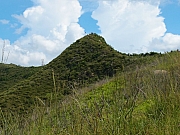 Thumbnail of pic_Amy_Fong_038.JPG
