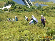 Thumbnail of pic_Sam_Ho_028.JPG