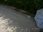 Thumbnail of pic_wai_016.JPG