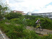 Thumbnail of pic_wai_103.JPG