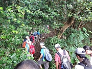 Thumbnail of pic_Billy_011.JPG