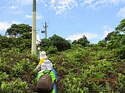 Thumbnail of pic_Eddie_Lui_089.JPG