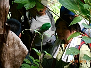 Thumbnail of pic_Sam_Ho_014.JPG