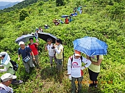 Thumbnail of pic_Wai_048.JPG
