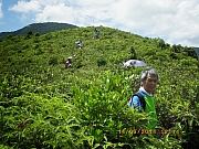 Thumbnail of pic_Wai_052.JPG