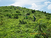 Thumbnail of pic_Wai_061.JPG