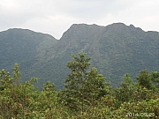 Thumbnail of pic_KC_Leung_202.jpg