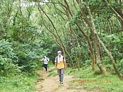 Thumbnail of pic_Wai_069.JPG