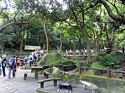 Thumbnail of P9280011.JPG