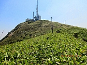Thumbnail of pic_Eddie_Lui_147.JPG