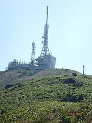 Thumbnail of pic_Thomas_Leung_117.jpg