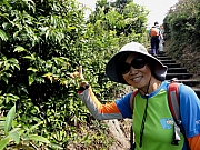 Thumbnail of PA190025.JPG