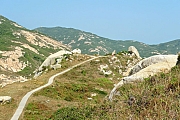 Thumbnail of pic_CC_Li_104.JPG
